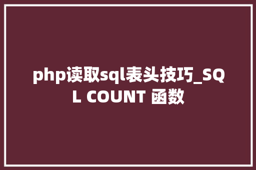 php读取sql表头技巧_SQL COUNT 函数