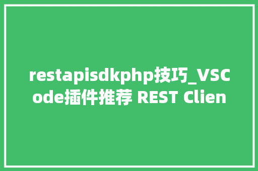 restapisdkphp技巧_VSCode插件推荐 REST Client 也许是比Postman更好的选择
