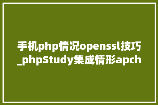 手机php情况openssl技巧_phpStudy集成情形apche下openssl来设备本地https做事器