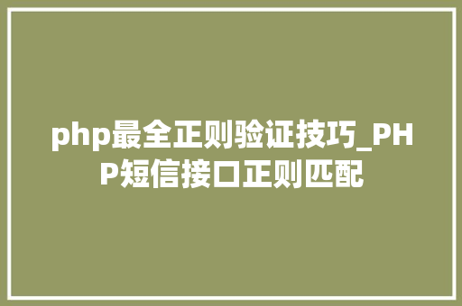 php最全正则验证技巧_PHP短信接口正则匹配