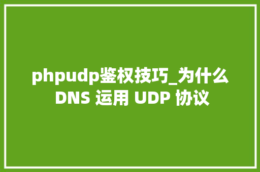 phpudp鉴权技巧_为什么 DNS 运用 UDP 协议