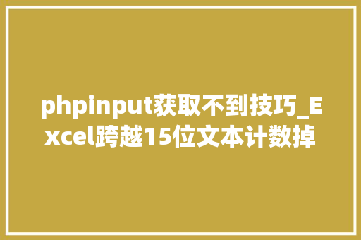 phpinput获取不到技巧_Excel跨越15位文本计数掉足试试这个方法