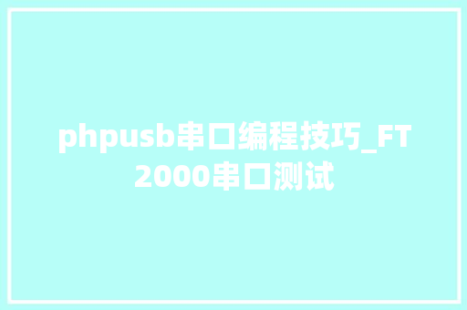 phpusb串口编程技巧_FT2000串口测试