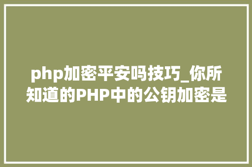 php加密平安吗技巧_你所知道的PHP中的公钥加密是缺点的
