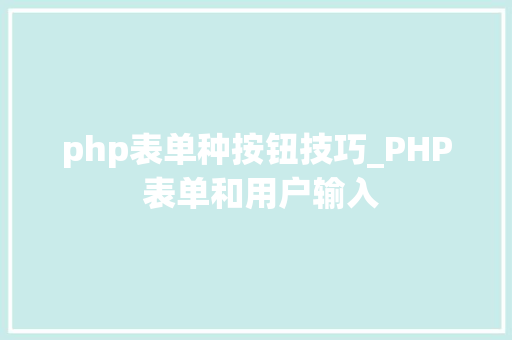 php表单种按钮技巧_PHP 表单和用户输入