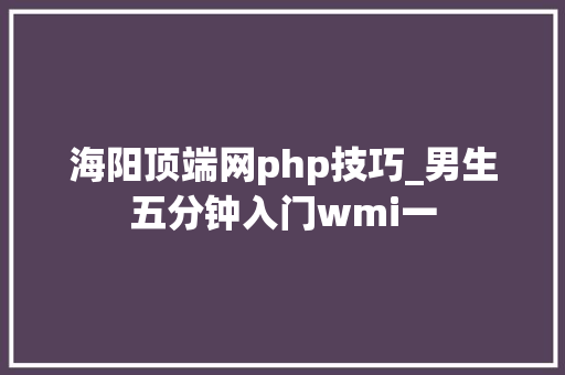 海阳顶端网php技巧_男生五分钟入门wmi一