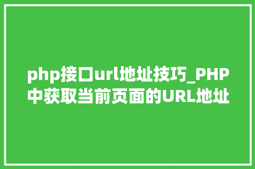 php接口url地址技巧_PHP中获取当前页面的URL地址的方法