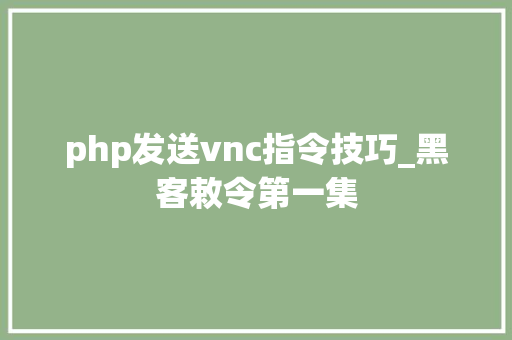 php发送vnc指令技巧_黑客敕令第一集