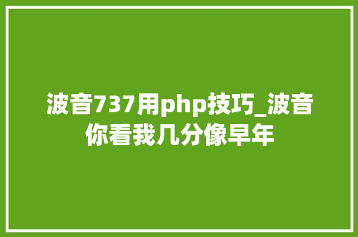 波音737用php技巧_波音你看我几分像早年