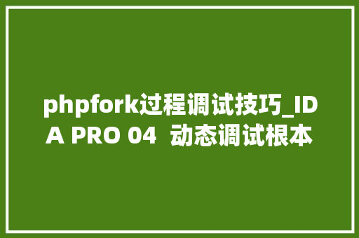 phpfork过程调试技巧_IDA PRO 04  动态调试根本02