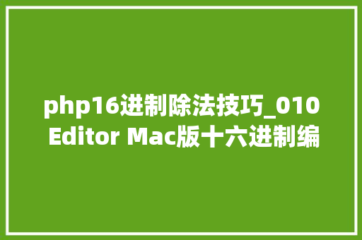 php16进制除法技巧_010 Editor Mac版十六进制编辑器