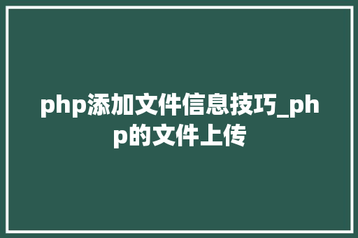 php添加文件信息技巧_php的文件上传