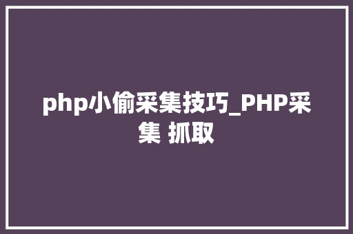 php小偷采集技巧_PHP采集 抓取