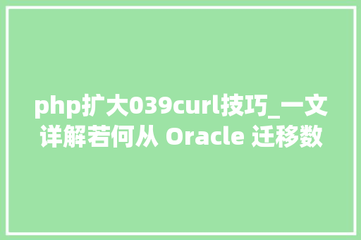php扩大039curl技巧_一文详解若何从 Oracle 迁移数据到 DolphinDB