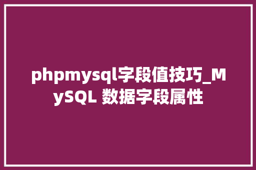 phpmysql字段值技巧_MySQL 数据字段属性