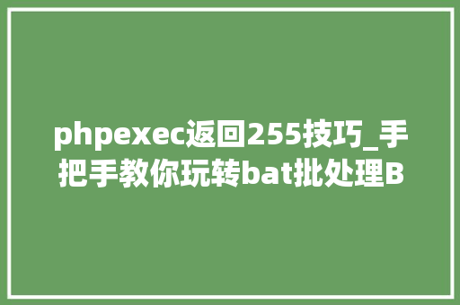 phpexec返回255技巧_手把手教你玩转bat批处理BAT文件语法和技巧