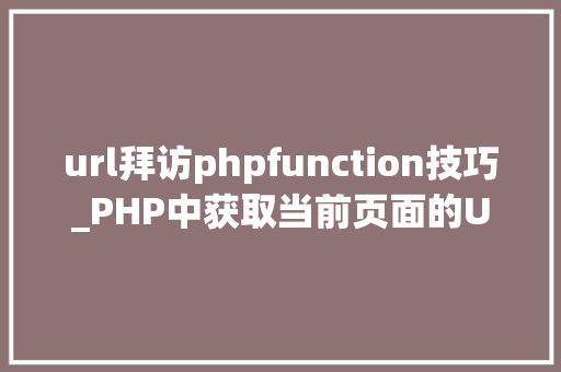 url拜访phpfunction技巧_PHP中获取当前页面的URL地址的方法