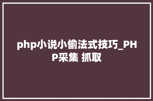 php小说小偷法式技巧_PHP采集 抓取
