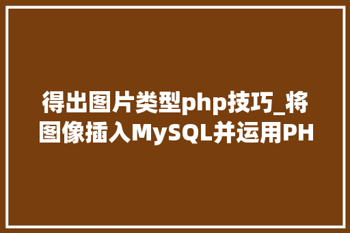 得出图片类型php技巧_将图像插入MySQL并运用PHP检索图像