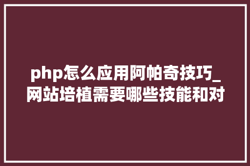 php怎么应用阿帕奇技巧_网站培植需要哪些技能和对象