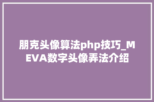 朋克头像算法php技巧_MEVA数字头像弄法介绍