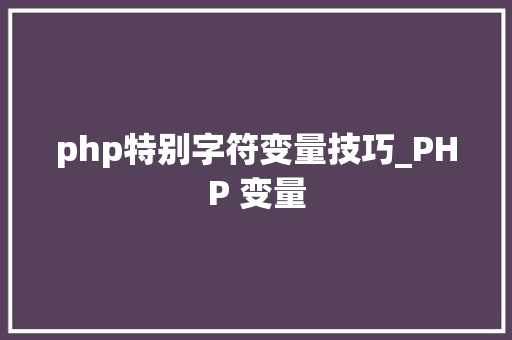 php特别字符变量技巧_PHP 变量