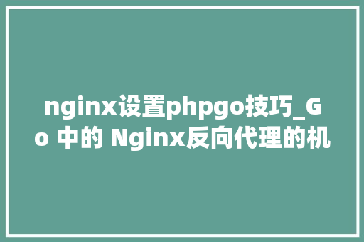 nginx设置phpgo技巧_Go 中的 Nginx反向代理的机能优化