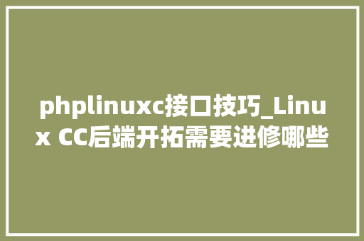 phplinuxc接口技巧_Linux CC后端开拓需要进修哪些技能