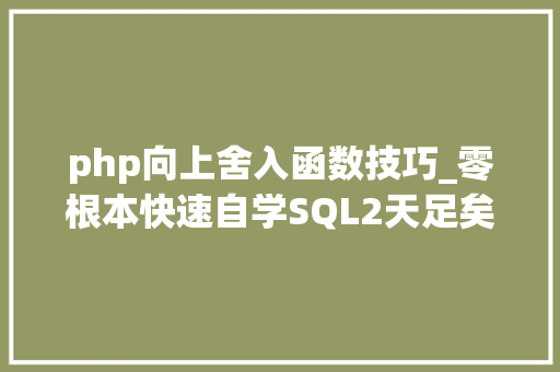 php向上舍入函数技巧_零根本快速自学SQL2天足矣