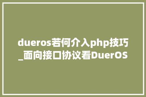 dueros若何介入php技巧_面向接口协议看DuerOS的技能开拓