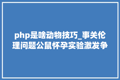 php是啥动物技巧_事关伦理问题公鼠怀孕实验激发争议