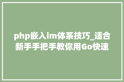 php嵌入im体系技巧_适合新手手把手教你用Go快速搭建高机能可扩展的IM系统