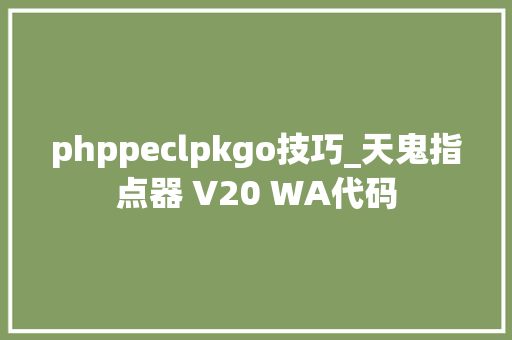 phppeclpkgo技巧_天鬼指点器 V20 WA代码