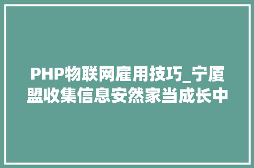 PHP物联网雇用技巧_宁厦盟收集信息安然家当成长中卫有限公司招聘简章
