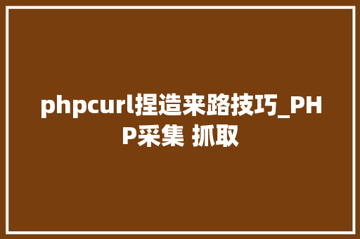 phpcurl捏造来路技巧_PHP采集 抓取