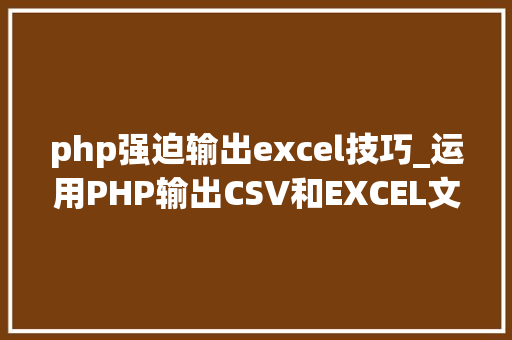 php强迫输出excel技巧_运用PHP输出CSV和EXCEL文件的简单方法