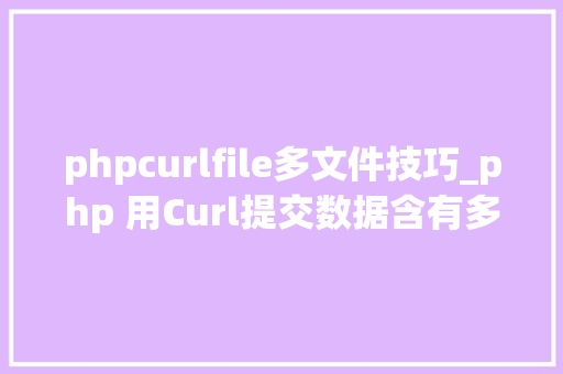 phpcurlfile多文件技巧_php 用Curl提交数据含有多维数组和文件上传的处理方法