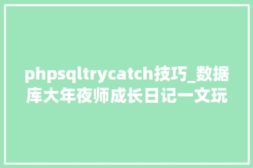 phpsqltrycatch技巧_数据库大年夜师成长日记一文玩通运用trycatch捕捉sql异常