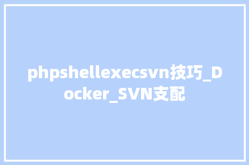 phpshellexecsvn技巧_Docker_SVN支配