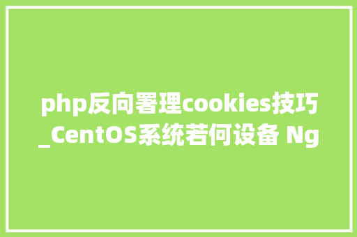 php反向署理cookies技巧_CentOS系统若何设备 Nginx 反向代理教程