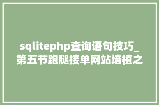 sqlitephp查询语句技巧_第五节跑腿接单网站培植之PHP操作SQLITE3是核反应堆