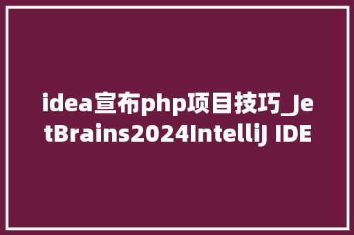 idea宣布php项目技巧_JetBrains2024IntelliJ IDEA安装教程