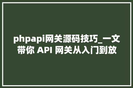 phpapi网关源码技巧_一文带你 API 网关从入门到放弃