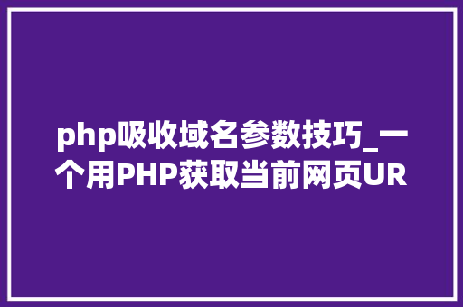 php吸收域名参数技巧_一个用PHP获取当前网页URL参数的实例