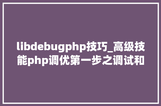libdebugphp技巧_高级技能php调优第一步之调试和调优对象xdebug