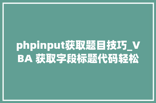 phpinput获取题目技巧_VBA 获取字段标题代码轻松搞定