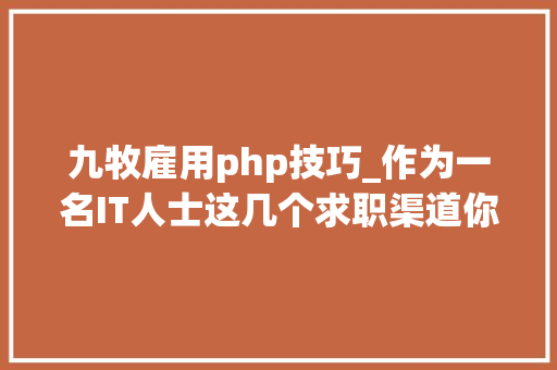 九牧雇用php技巧_作为一名IT人士这几个求职渠道你必须知道