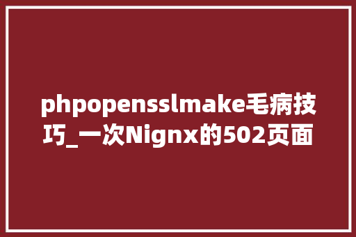 phpopensslmake毛病技巧_一次Nignx的502页面的缺点记录