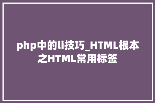php中的li技巧_HTML根本之HTML常用标签