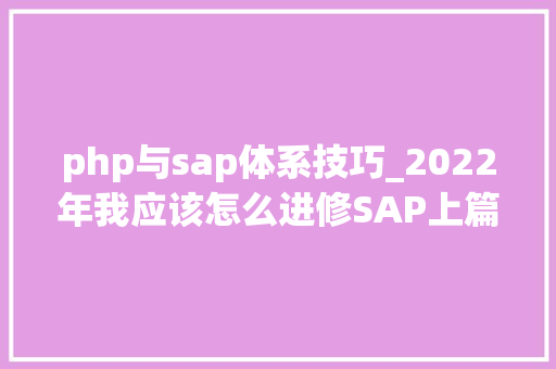 php与sap体系技巧_2022年我应该怎么进修SAP上篇